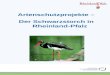 Artenschutzprojekte – Der Schwarzstorch in Rheinland-Pfalz