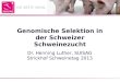Genomische Selektion in der Schweizer Schweinezucht Dr. Henning Luther, SUISAG Strickhof Schweinetag 2013