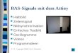 BAS-Signale mit dem Attiny Halbbild Zeilensignal Bildsynchronisation Einfaches Testbild Oszillogramme Videos Programmideen V 1.3 - Copyright 2009/12 by