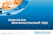 SelectLine Software GmbH – Nachtweide 82 c – 39124 Magdeburg Donnerstag, 27. Februar 2014 1