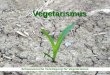 Schweizerische Vereinigung für Vegetarismus (SVV) Vegetarismus Präsentation: 2007 Schweizerische Vereinigung für Vegetarismus