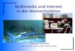 Multimedia und Internet in der Hochschullehre Claudia Bremer J.W. Goethe Universität Frankfurt/Main