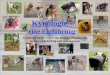 Kynologie - eine Einführung Kynologie ist die Lehre von den Haushunden. Sie ist sehr vielschichtig und umfangreich