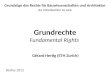 Grundrechte Fundamental Rights Grundzüge des Rechts für Bauwissenschaften und Architektur An Introduction to Law Herbst 2012 Gérard Hertig (ETH Zurich)