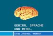GEHIRN, SPRACHE UND MEHR… Isopp Johannes, 0410810