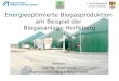 4. Forum Bioenergie Kreis Heinsberg Energieoptimierte Biogasproduktion am Beispiel der Biogasanlage Heinsberg Referent: Dipl.-Ing. Jürgen Neuß Ingenieurbüro