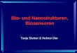 Tanja Steiner & Helmut Dier Bio- und Nanostrukturen, Biosensoren