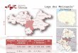 Lage der Metropole Silesia  35 km 60 km Allgemeine Angaben Metropole Silesia [%] Woiwodschaft Schlesien [%] Fläche