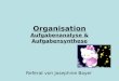 Organisation Aufgabenanalyse & Aufgabensynthese Referat von Josephine Bayer