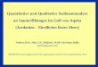 Quantitative und Qualitative Sedimentanalyse an Saumriffhängen im Golf von Aqaba (Jordanien - Nördliches Rotes Meer) Andrea Perl, John J.G. Reijmer, Wolf-Christian