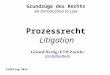 Prozessrecht Litigation Grundzüge des Rechts An Introduction to Law Frühling 2014