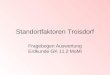 Standortfaktoren Troisdorf Fragebogen Auswertung Erdkunde GK 11.2 MoMi