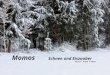 Momos Schnee und Eiszauber Musik Adam Kamen Frischer Schnee Bedeckt die felder, Nur noch stille weit und breit, Und im augenblick Spüre ich die ewigkeit
