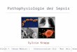 Pathophysiologie der Sepsis Sylvia Knapp Klinik f. Innere Medizin 1 - Intensivstation 13i2 - Med. Univ. Wien