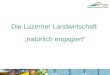 Die Luzerner Landwirtschaftnatürlich engagiert. Der Verband will eine produzierende, nachhaltige Landwirtschaft gesunde, existenzfähige Familienbetriebe