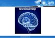Www.leadership-team.com Neuroleadership. www.leadership-team.com Einige wichtige Fakten zum Gehirn