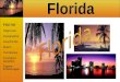 Home Allgemein Geographie Geschichte Miami Hurrikanes Touristen- paradies Eigene Erfahrungen