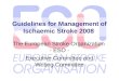 ESO Stroke Guideline 2008