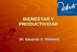 BIENESTAR Y PRODUCTIVIDAD Dr. Eduardo S. Wollants