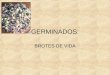 GERMINADOS: BROTES DE VIDA. AUSPICIA  V.M. KELIUM ZEUS INDUSEUS V.M. SAMAEL JOHAV BATHOR WEOR