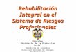 Rehabilitación Integral en el Sistema de Riesgos Profesionales Ministerio de la Protección Social República de Colombia Dirección General de Riesgos Profesionales
