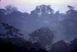 Cambio climático y ecosistemas tropicales Resultados científicos de la Estación Biológica La Selva Carolina Murcia, Ph. D. Directora Científica