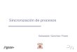 Sincronización de procesos Sebastián Sánchez Prieto