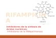 Inhibidores de la síntesis de ácidos nucleicos: Inhibidores de la RNApolimerasa