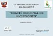 “COMITÉ REGIONAL DE INVERSIONES” Cajamarca, 26 de agosto del 2011 GOBIERNO REGIONAL CAJAMARCA SECRETARÍA TÉCNICA OPI GR Cajamarca DGPI - MEF PRIMERA SESIÓN