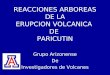 REACCIONES ARBOREAS DE LA ERUPCION VOLCANICA DE PARICUTIN Grupo Arizonense De Investigadores de Volcanes