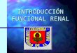 INTRODUCCIÓN FUNCIONAL RENAL AUTORA n SLENDY DE LA CRUZ P