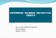 ENFERMEDAD PULMONAR OBSTRUCTIVA CRONICA Dra. Carla Villarreal Aguilar Neumología Marzo. 2015