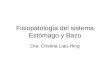 Fisiopatología del sistema Estómago y Bazo Dra. Cristina Liau-Hing