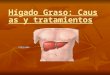 Hígado Graso: Causas y tratamientos Hígado Graso: Causas y tratamientos