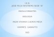 I.E.D. JOSE FELIX RESTREPO SEDE “A” ENDULCORANTES BIOLOGIA INGRI VIVIANA CUERVO MESA HAMMES GARAVITO 903