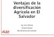 Ventajas de la diversificación Agrícola en El Salvador Ing. Oscar Albanés Gerente General Alba Alimentos de El Salvador