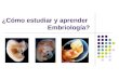 ¿Cómo estudiar y aprender Embriología?. Autoras Dra. Manuela Gilda Bernardo Fuentes. Asistente. Metodóloga. Especialista de primer grado en Embriología