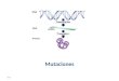 2011 Mutaciones Cuando las mutaciones Afectan a la siguiente generación? Mutaciones Que es una mutacion? Es todo cambio en la información hereditaria