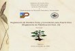 Gobierno de Puerto Rico Oficina del Gobernador Junta de Planificación y Departamento de Recursos Naturales y Ambientales Reglamento de Siembra Corte y
