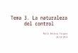 Tema 3. La naturaleza del control Marta Beranuy Fargues 28/10/2014