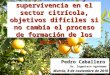 Competitividad y supervivencia en el sector citrícola, objetivos difíciles si no cambia el proceso de formación de los precios Pedro Caballero Dr. Ingeniero