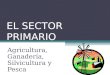 EL SECTOR PRIMARIO Agricultura, Ganader­a, Silvicultura y Pesca