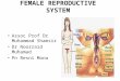 Physiology of Female Reproductive System 01092010