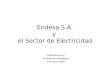 Endesa S.A. y el Sector de Electricidad Presentación por la Dirección Estrategica 8 de enero 2003