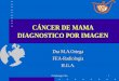 Sº Radiología CHA1 CÁNCER DE MAMA DIAGNOSTICO POR IMAGEN Dra M.A.Ortega FEA-RadiologíaH.G.A