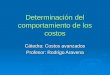 Determinación del comportamiento de los costos Cátedra: Costos avanzados Profesor: Rodrigo Aravena