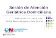 Sesión de Atención Geriátrica Domiciliaria MIR 3º año: Dr. Carlos Gala. DUES: Marisa Morales y Celia Etreros