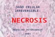 DAÑO CELULAR IRREVERSIBLE: NECROSIS MEDICINA VETERINARIA - 2004 -