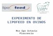 EXPERIMENTO DE LIPOFEED EN OVINOS Mvz Epo Octavio Plascencia