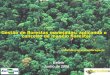Gestão de florestas manejadas: aplicando o conceito de manejo florestal natalino@cpatu.embrapa.br Belém Junho de 2006